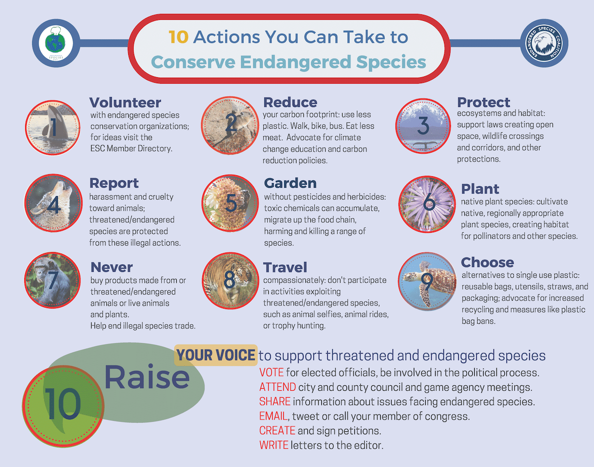 Endangered species protections